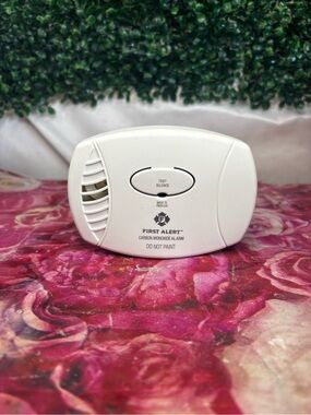 First alert carbon monoxide detector